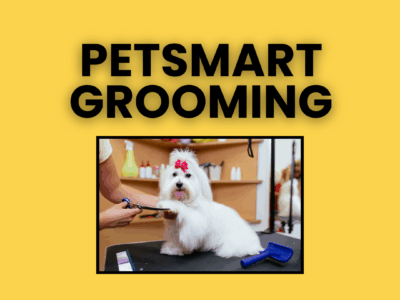 ✂️ PetSmart Grooming – Nationwide Dog Grooming & Styling