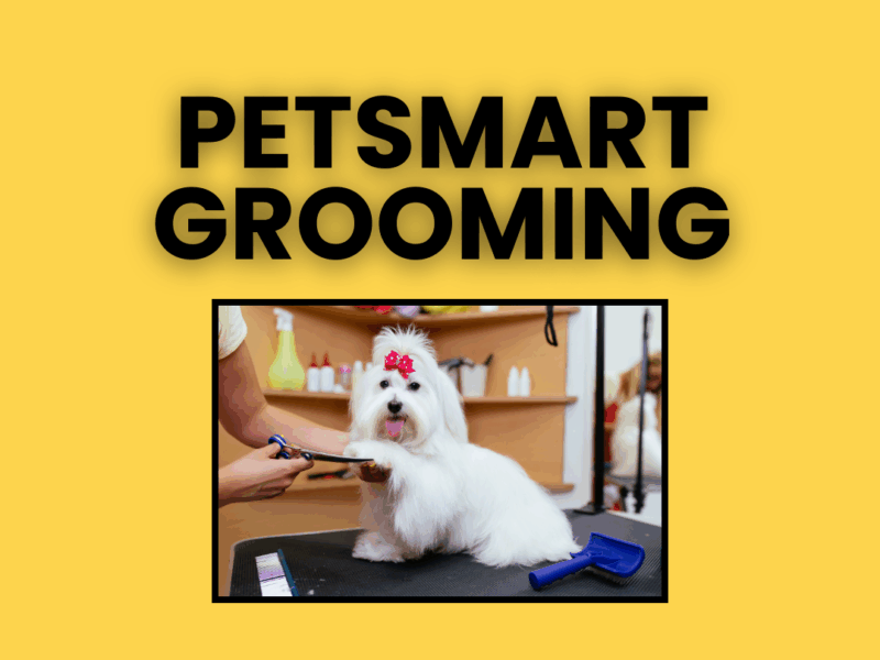 ✂️ PetSmart Grooming – Nationwide Dog Grooming & Styling