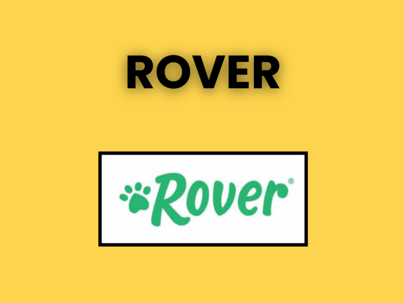 🐶 Rover – Dog Sitting & Walking Services Across the USA
