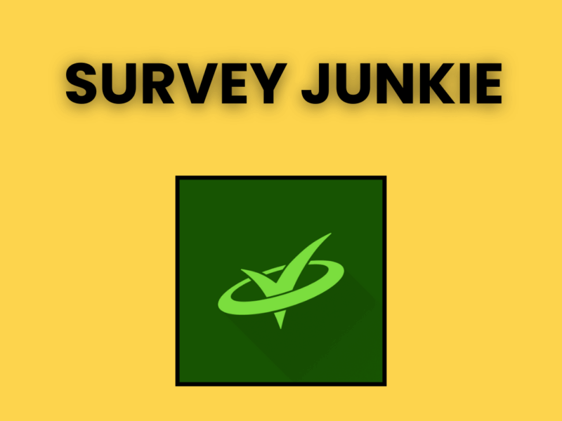 Survey Junkie – Share Your Opinion 📝
